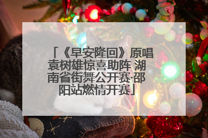 《早安隆回》原唱袁树雄惊喜助阵 湖南省街舞公开赛·邵阳站燃情开赛