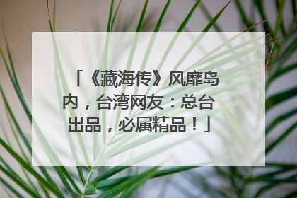《藏海传》风靡岛内，台湾网友：总台出品，必属精品！