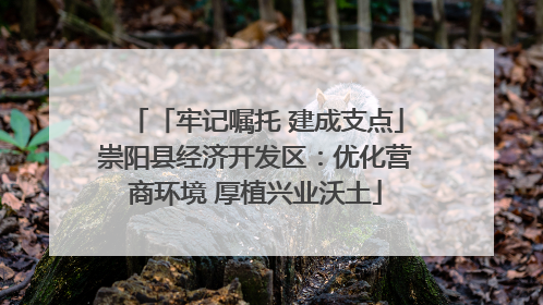 「牢记嘱托 建成支点」崇阳县经济开发区：优化营商环境 厚植兴业沃土