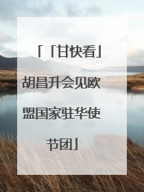「甘快看」胡昌升会见欧盟国家驻华使节团
