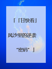 「甘快看」风沙里的逆袭“密码”