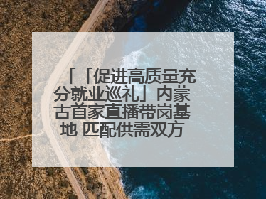 「促进高质量充分就业巡礼」内蒙古首家直播带岗基地 匹配供需双方 促进上岗就业