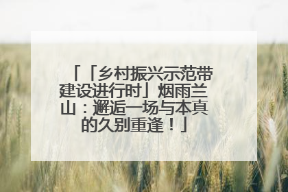 「乡村振兴示范带建设进行时」烟雨兰山：邂逅一场与本真的久别重逢！