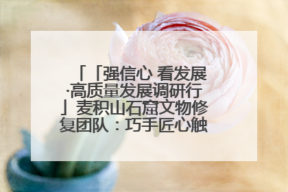 「强信心 看发展·高质量发展调研行」麦积山石窟文物修复团队：巧手匠心触摸“光阴的故事”