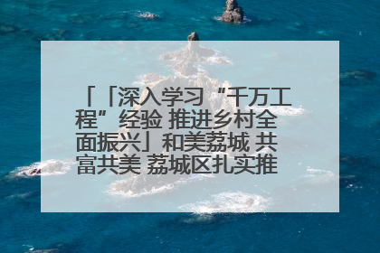 「深入学习“千万工程”经验 推进乡村全面振兴」和美荔城 共富共美 荔城区扎实推进乡村振兴工作