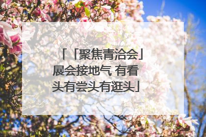 「聚焦青洽会」展会接地气 有看头有尝头有逛头
