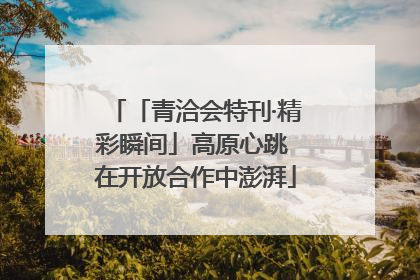 「青洽会特刊·精彩瞬间」高原心跳 在开放合作中澎湃