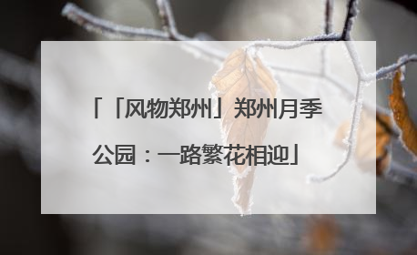 「风物郑州」郑州月季公园：一路繁花相迎