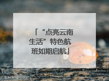 “点亮云南生活”特色航班如期启航