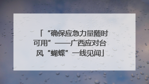 “确保应急力量随时可用”——广西应对台风“蝴蝶”一线见闻