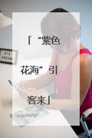 “紫色花海”引客来