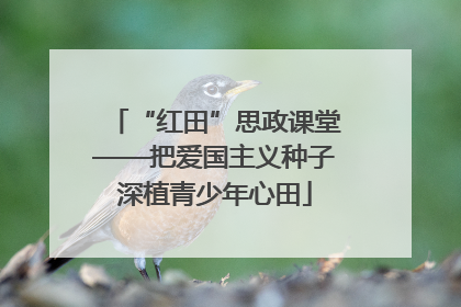 “红田”思政课堂——把爱国主义种子深植青少年心田