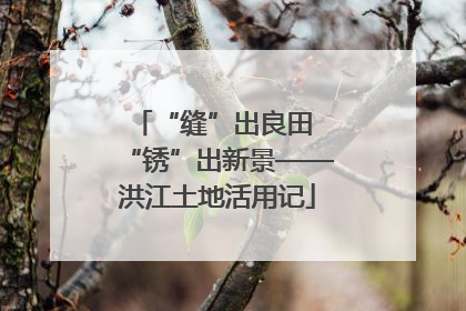 “缝”出良田 “锈”出新景——洪江土地活用记