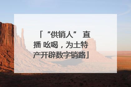 “供销人” 直播 吆喝，为土特产开辟数字销路