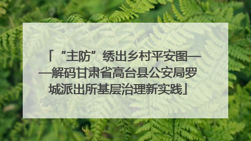 “主防”绣出乡村平安图——解码甘肃省高台县公安局罗城派出所基层治理新实践