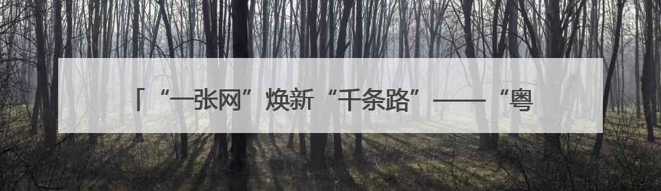 “一张网”焕新“千条路”——“粤通行”用户规模即将突破600万