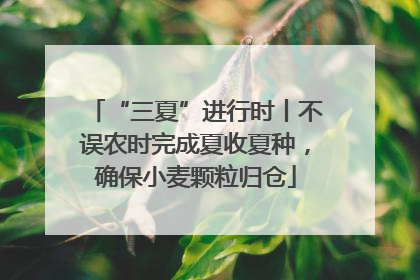 “三夏”进行时丨不误农时完成夏收夏种，确保小麦颗粒归仓