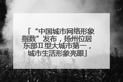 “中国城市网络形象指数”发布，扬州位居东部Ⅱ型大城市第一，城市生活形象亮眼