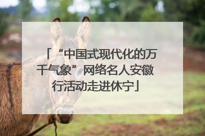 “中国式现代化的万千气象”网络名人安徽行活动走进休宁