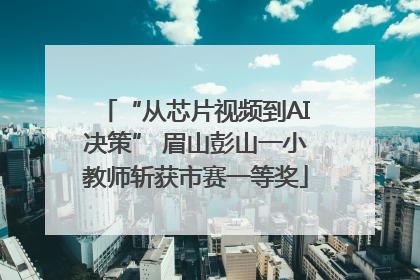 “从芯片视频到AI决策” 眉山彭山一小教师斩获市赛一等奖