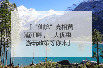 “仙境”亮相黄浦江畔，三大优惠游玩政策等你来