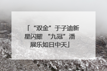 “双金”于子迪新星闪耀 “九冠”潘展乐如日中天