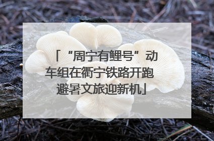 “周宁有鲤号”动车组在衢宁铁路开跑 避暑文旅迎新机
