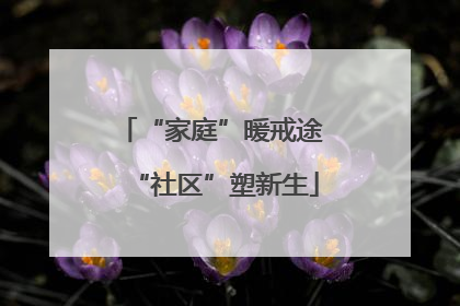 “家庭”暖戒途 “社区”塑新生