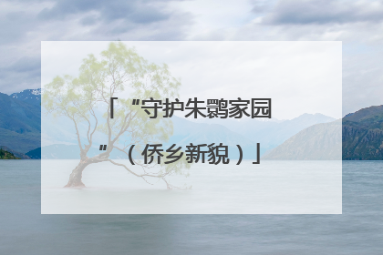 “守护朱鹮家园”（侨乡新貌）
