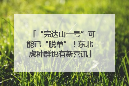 “完达山一号”可能已“脱单”！东北虎种群也有新喜讯