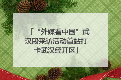 “外媒看中国”武汉段采访活动首站打卡武汉经开区