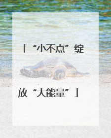 “小不点”绽放“大能量”