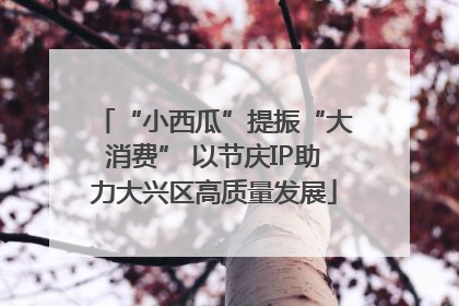 “小西瓜”提振“大消费” 以节庆IP助力大兴区高质量发展