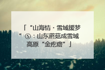 “山海情・雪域援梦”⑤：山东蘑菇成雪域高原“金疙瘩”