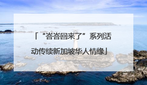 “峇峇回来了”系列活动传续新加坡华人情缘