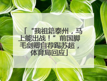 “我祖籍泰州，马上能出战！”前国脚毛剑卿自荐踢苏超，体育局回应