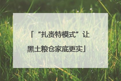 “扎赉特模式”让黑土粮仓家底更实