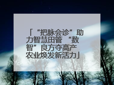 “把脉会诊”助力智慧田管 “数智”良方夺高产 农业焕发新活力