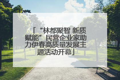 “林都聚智 新质赋能”民营企业家助力伊春高质量发展主题活动开幕