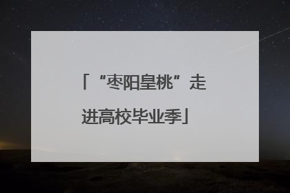 “枣阳皇桃”走进高校毕业季