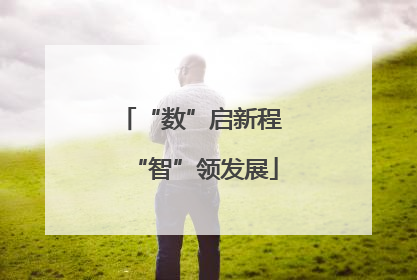 “数”启新程 “智”领发展