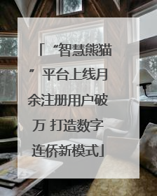 “智慧熊猫”平台上线月余注册用户破万 打造数字连侨新模式