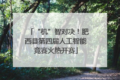 “机”智对决！肥西县第四届人工智能竞赛火热开赛