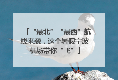 “最北”“最西”航线来袭，这个暑假宁波机场带你“飞”