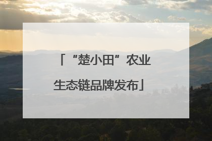 “楚小田”农业生态链品牌发布