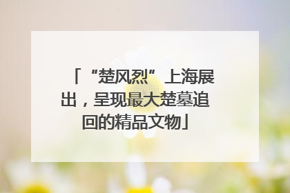 “楚风烈”上海展出，呈现最大楚墓追回的精品文物