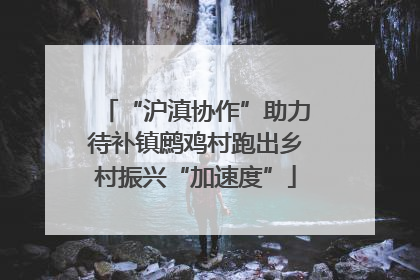 “沪滇协作”助力待补镇鹧鸡村跑出乡村振兴“加速度”