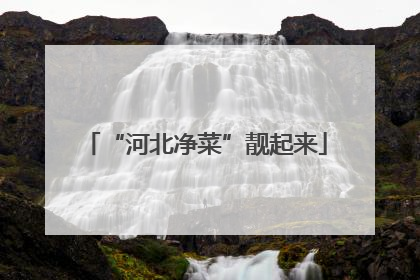 “河北净菜”靓起来