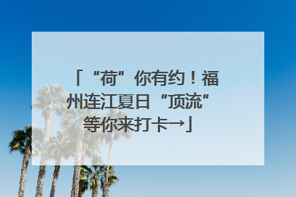 “荷”你有约！福州连江夏日“顶流”等你来打卡→