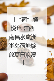 “荷”颜悦色 江西南昌水岚洲半岛荷塘绽放夏日浪漫